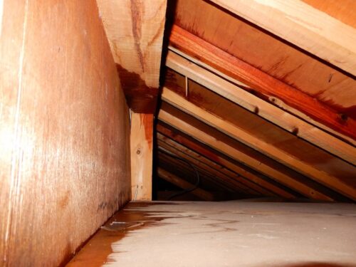 雨漏り修理の際に屋根工事をせずに放置すると？